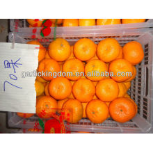 2012 big mandarin 70mm